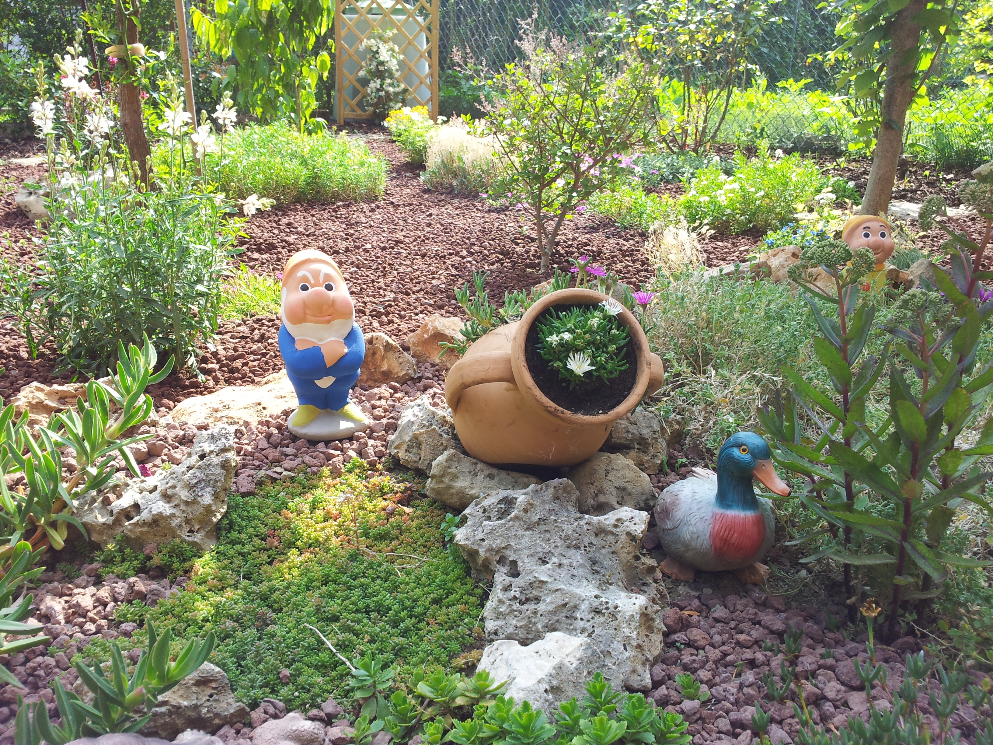 Aiuole giardino: ... aiuole da giardino quale realizzare. aiuole ...